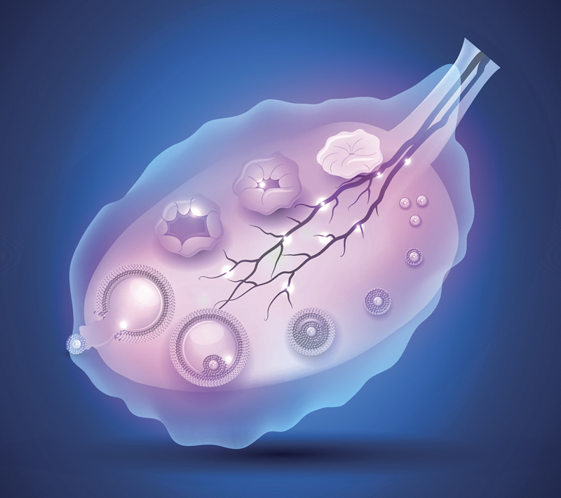 2026年无结婚证去威海市妇幼保健院做试管助孕合法吗？单身试管攻略